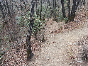 �k�􂩂�̋}��