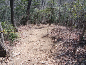 �R���ԉ�����̓o�R���B