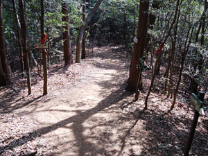 山頂番屋からの登山道。