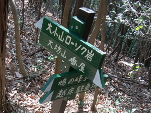 �z�����̕���