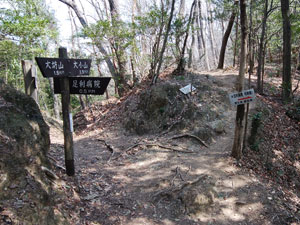 ���̕���