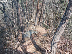 �R������̓o�R���B