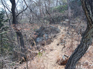 ���[�\�N�₩��̓�