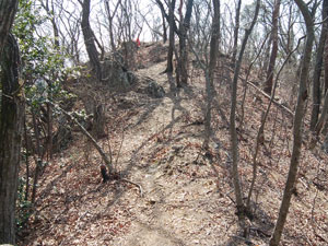 ���򂩂�̓�