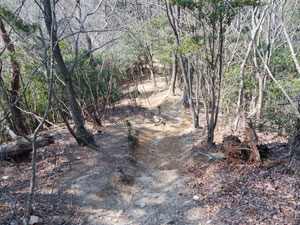 越床山山頂からの道