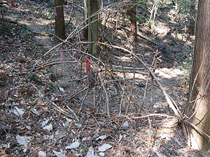 �o���P�[�h