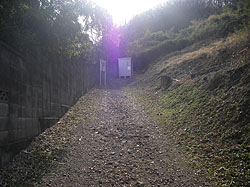 ���т̃R�[�X