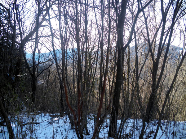 �R������̒���