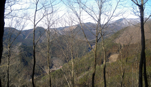 ���̏����H�t�߂���̒���