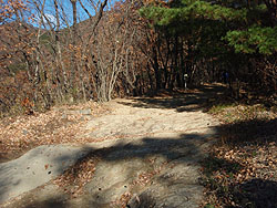 ���₩�ȓo�R��