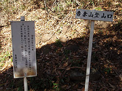 �o�R������