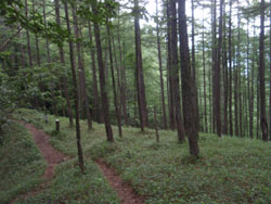 �����̓���i�ށB