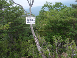 備前楯山 山頂(1272m)