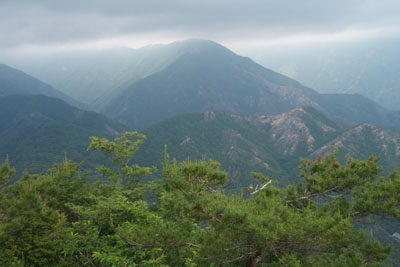 山頂からの眺め