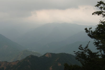 山頂からの眺め