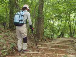 �T�|�[�^��G�Ɋ���