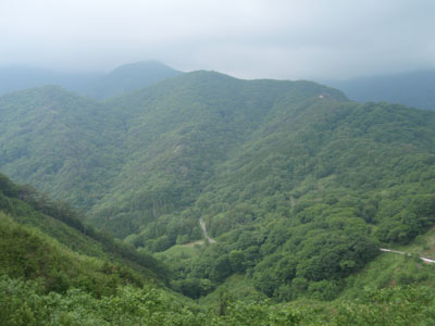 300m付近からの眺め