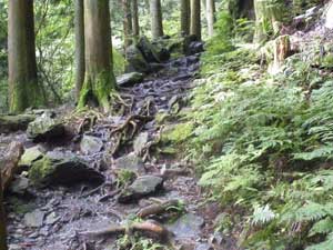 �⍬����̓o�R��