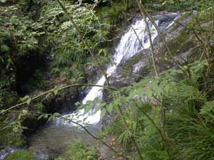 �����̑�B