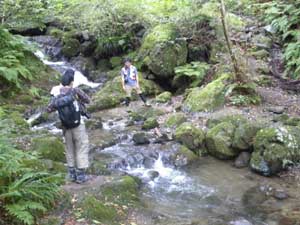 �����̑ꂩ��̓o�R��