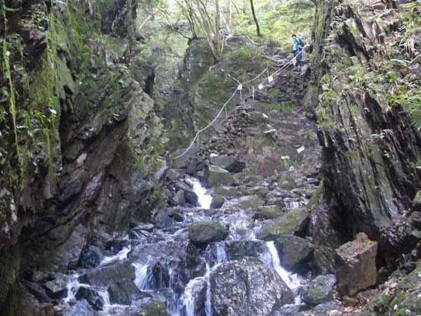 迫力のあるルート