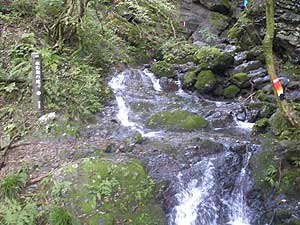 ���E���̑�