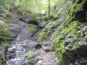 ���E���̑ꂩ��̓o�R���B