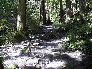 �X�M�т�i��