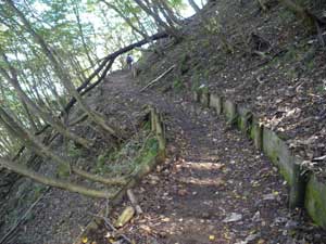 �������ꂽ��