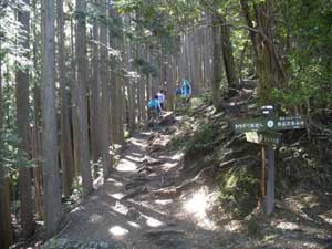 ����΂���̓o�R���B