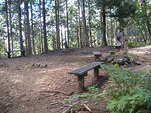 �S���W����