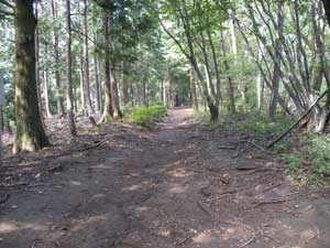 �S���W��������̓o�R���B