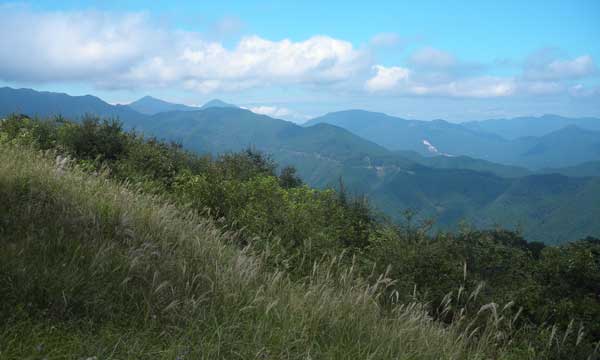 棒ノ嶺山頂からの眺め