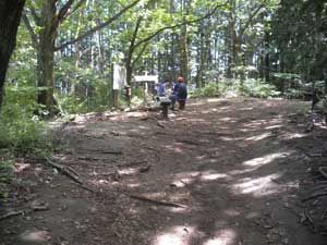 �S���W����