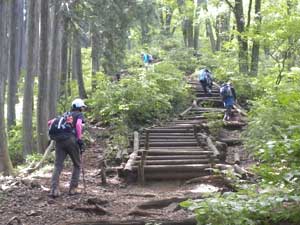 ���ꂩ���̒����ؒi