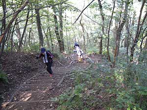 �x���`����̓o�R���B