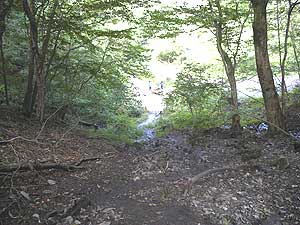 ���}�ȓ���