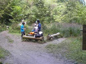 ���}�ȓ���