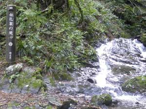 ���E���̑�