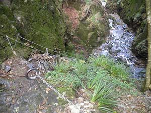 �}�ȏꏊ�́A�T�d��