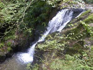 �����̑�