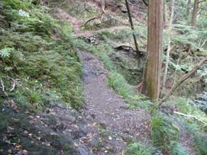 �����̑ꂩ��̓o�R��