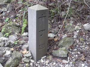 �P�O����