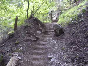 �s���ꂩ��̓o�R���B