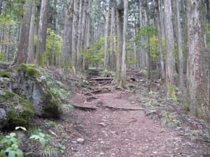 �吙�L��(�O�\�O����)����̓o�R���B