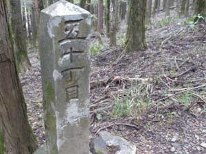 �܏\���ڂ̒���