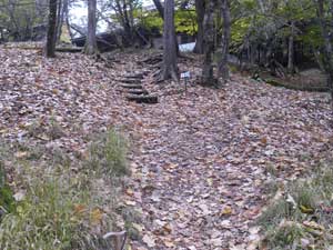 �g�C������̓�