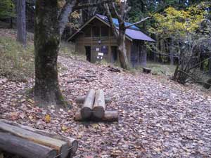 �g�C���O�̃x���`