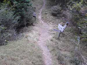 �V���W�N�{�̕���_