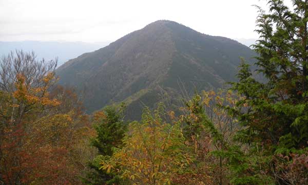 �R������̒���